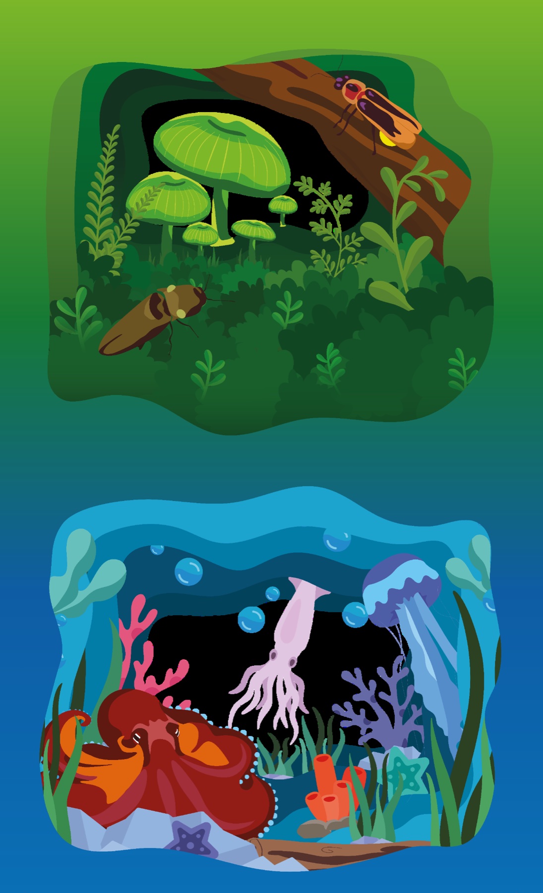 Ilustración del diorama de bioluminiscencia: una rana entre hojas arriba y criaturas marinas brillantes abajo