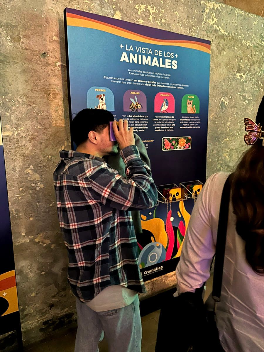 Un visitante mira por un visor frente al panel La vista de los animales, el día de la inauguración