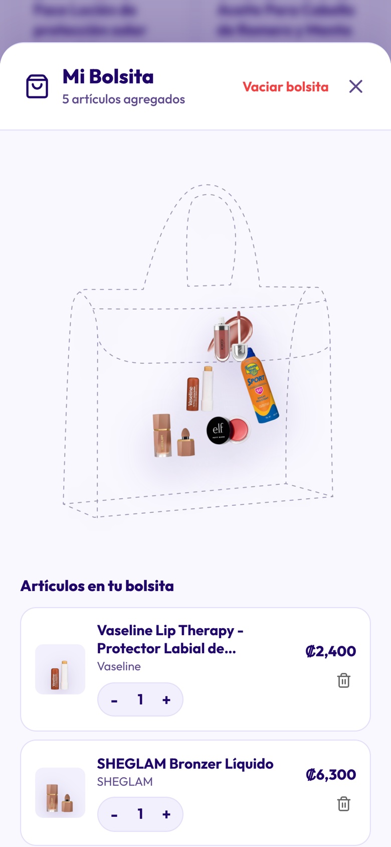 Pantalla Mi Bolsita con la ilustración de una bolsa que contiene los productos elegidos